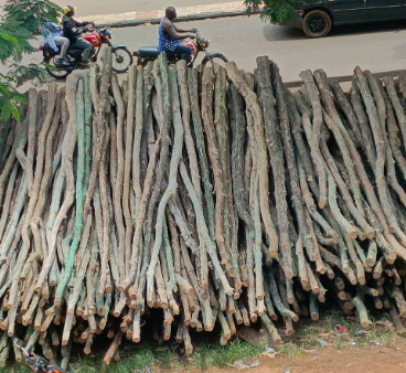 Firewood stacked for sale - field documentation