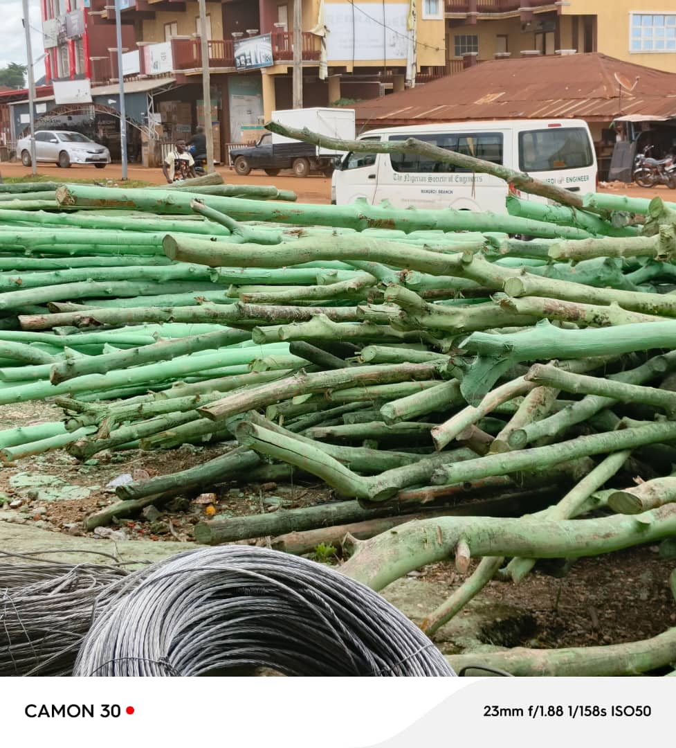 Cut timber piled beside a town road